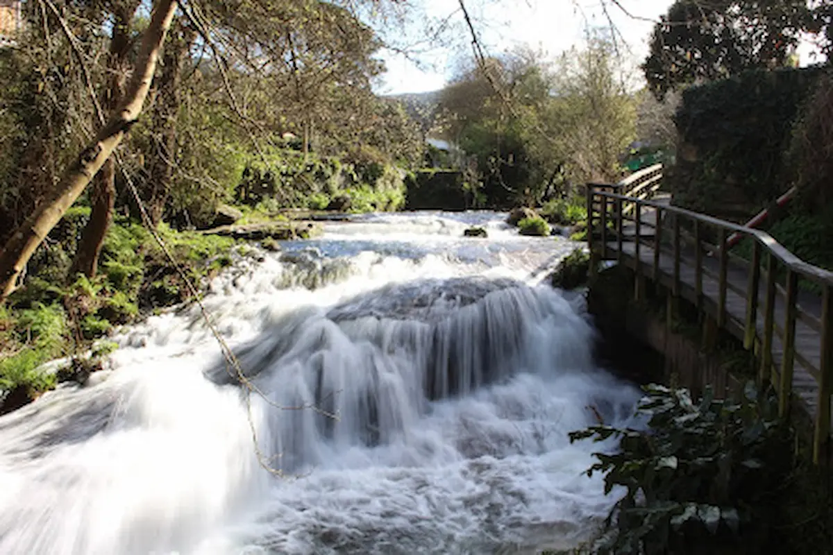 Imagen de Paseo fluvial do Río Baíña