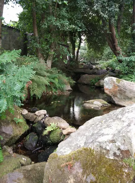 Paseo fluvial do Río Baíña